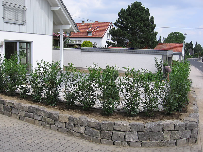 Garten & Landschaftsbau Dirk Mohr